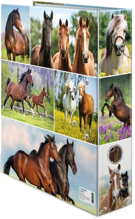 Actual product image Herma A4 folder motif (A4, 70 mm, 1 x)