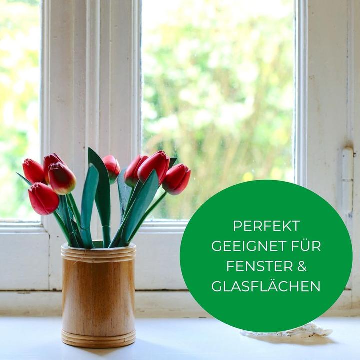 Image du produit Novaliv Sparset Fensterabzieher 23 cm + 35 cm Aluleiste mit Gummilippe für streifenfreies Abziehen B (2 pcs)