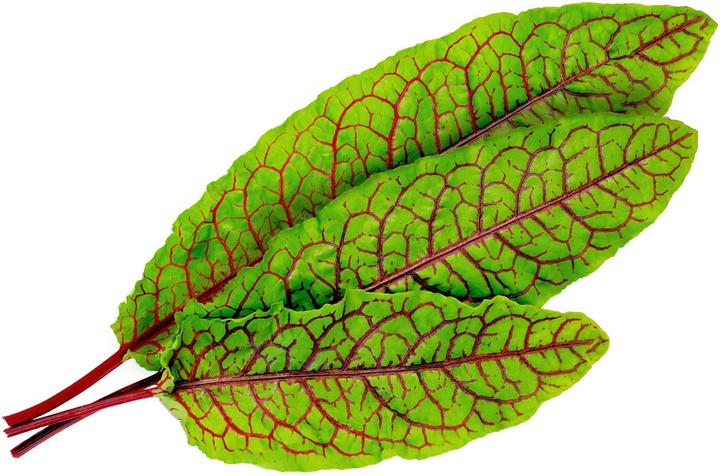 Image du produit Véritable Lingot Pensée BIO (Graines d'herbes aromatiques)
