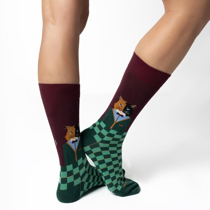 Actual product image Jimmy Lion Gentle Cat (41, 46)