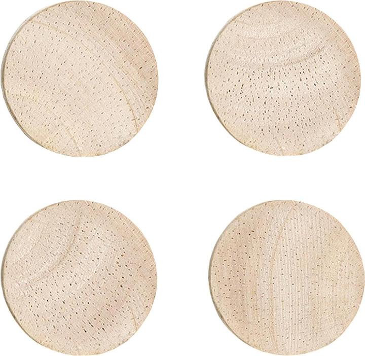 Zeller Present Magnet (4 x)