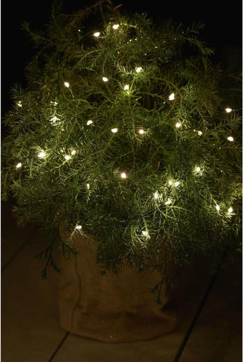 Image du produit Sirius Cheveux d'ange (3.90 m)