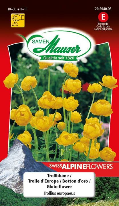 Samen Mauser Trollblume (Blumensamen)