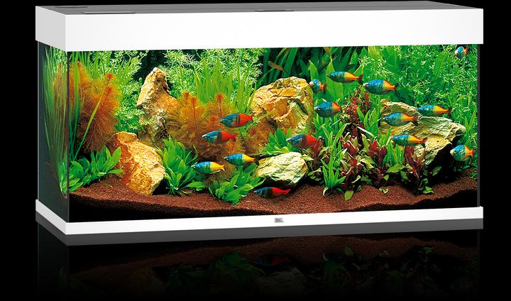 Juwel Aquarium Rio (180 l)