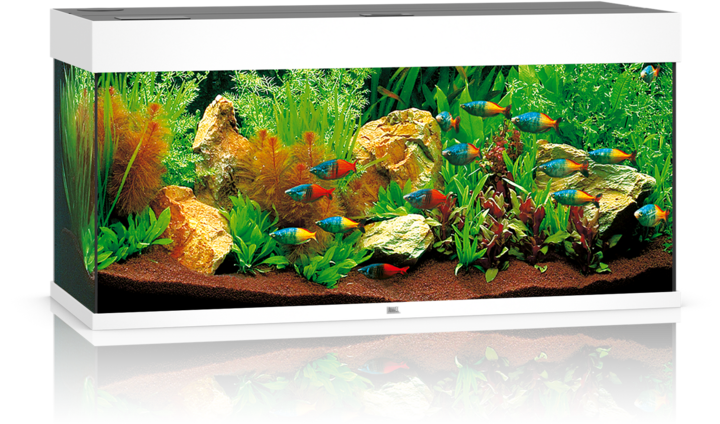Immagine prodotto Juwel Aquarium Rio 180 LED (180 l)