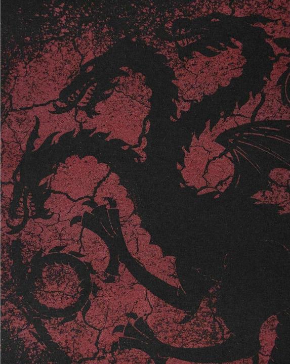 Produktbild Game of Thrones TShirt (M)