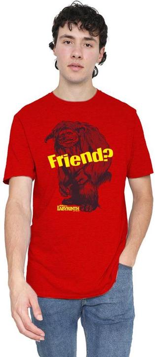 Produktbild Friend TShirt meliert (S)