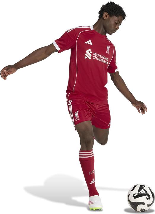 Actual product image Nike FC Liverpool Shorts (M)