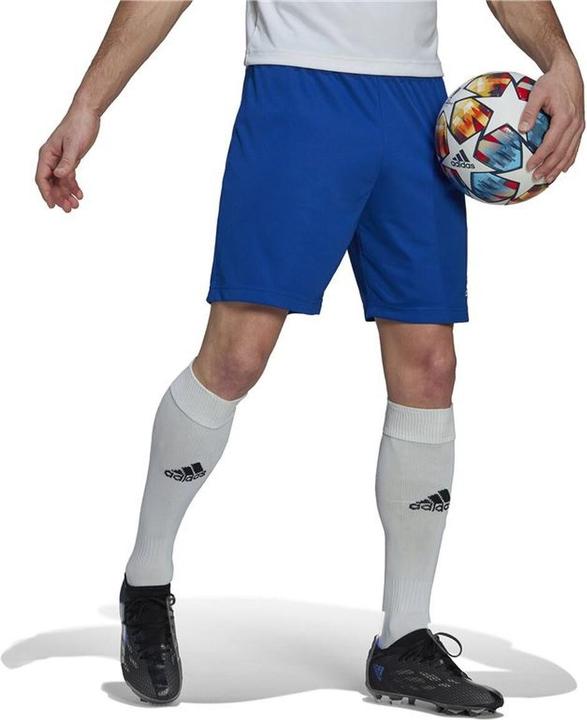 Actual product image Adidas Entrada 22 Shorts Men (L)