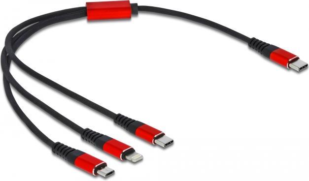 Actual product image Delock 3in1 (0.30 m, USB 2.0, 5 W)