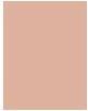 Produktbild Estée Lauder Double Wear (Nr. 2C3 - Fresco)