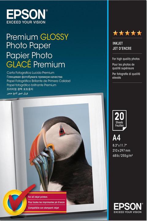 Actual product image Epson A4 Premium Glossy Photo Paper (255 g/m², A4, 20 x)