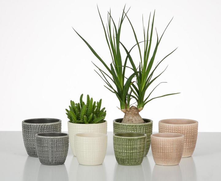 Produktbild Scheurich Blumentopf Grau Ø 18.8 cm (18.80 x 16.90 cm)