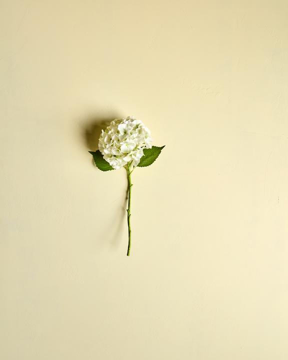 Immagine prodotto House Doctor HDHydrangea (50 cm)