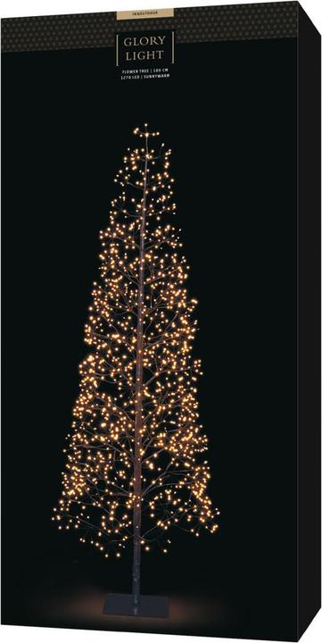 Immagine prodotto STT Flower Tree 180 black