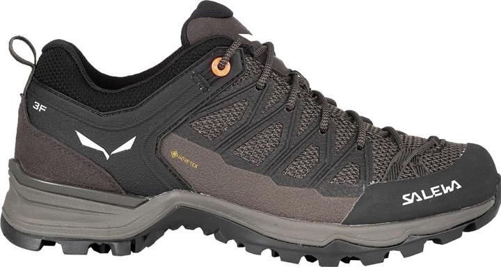 Produktbild Salewa MTN Trainer Lite GTX Schuhe (42)