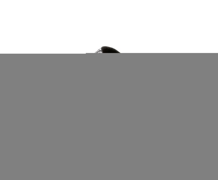 Schwarz/Silber