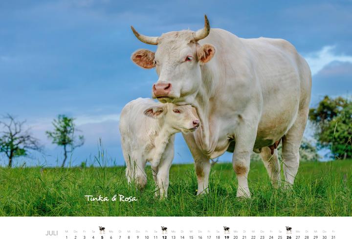 Produktbild Tierkinder auf dem Bauernhof Kalender 2026 (Harter Einband, Deutsch)
