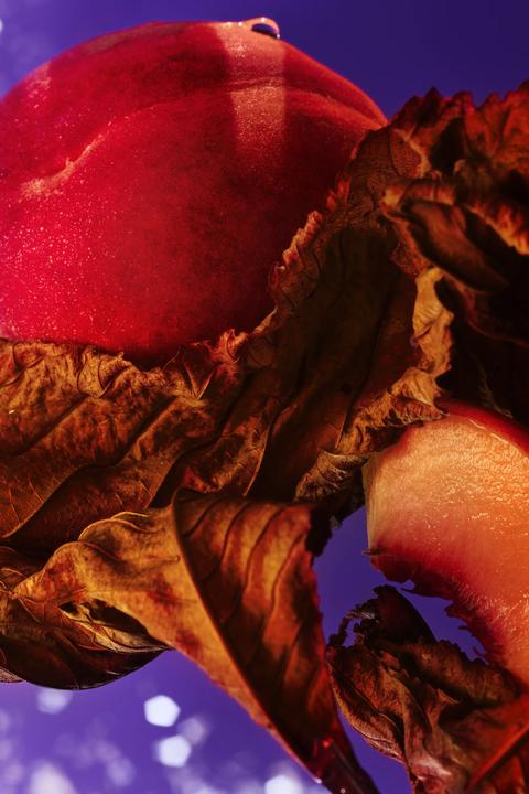 Produktbild Bulgari Allegra Fantasia Veneta (Eau de Parfum, 100 ml)