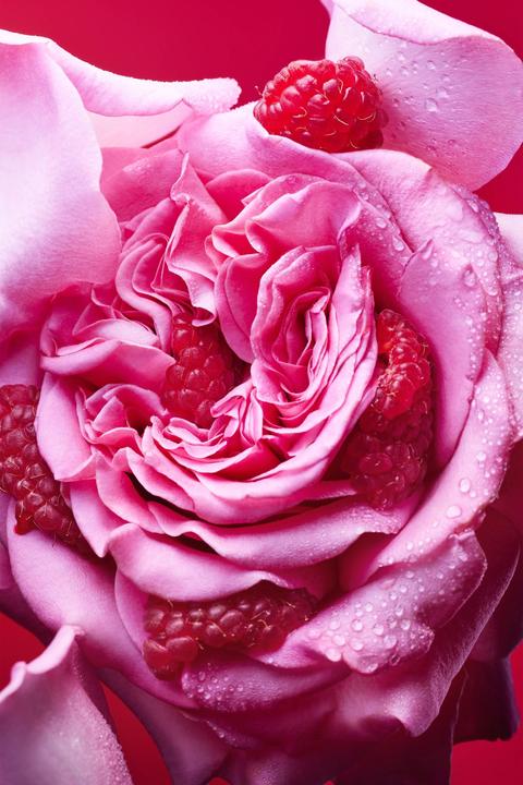 Immagine prodotto Bulgari Allegra Fiori D'Amore (Eau de parfum, 100 ml)