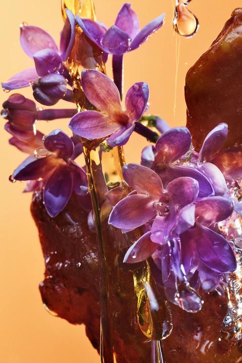 Immagine prodotto Bulgari Allegra Rock'n'Rome (Eau de parfum, 100 ml)