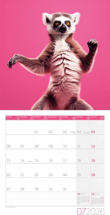 Produktbild Dancing Animals Kalender 2026