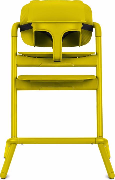 Actual product image Cybex Lemo Baby Set 2