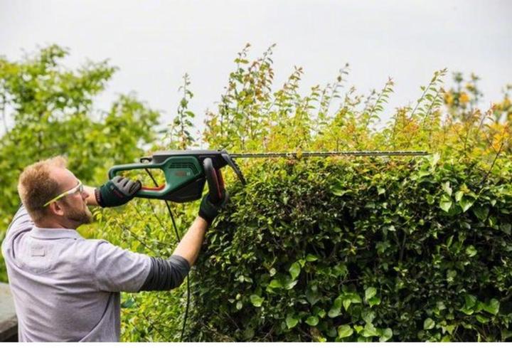 Actual product image Bosch Home & Garden AdvancedHedgeCut 65 (Electrical connection)