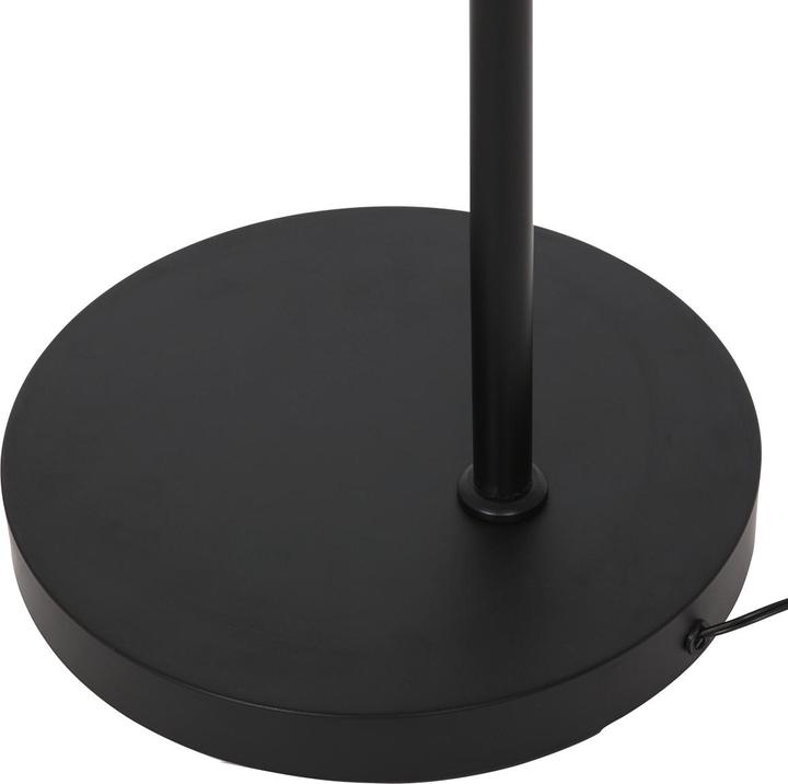 Produktbild Steinhauer Daphne