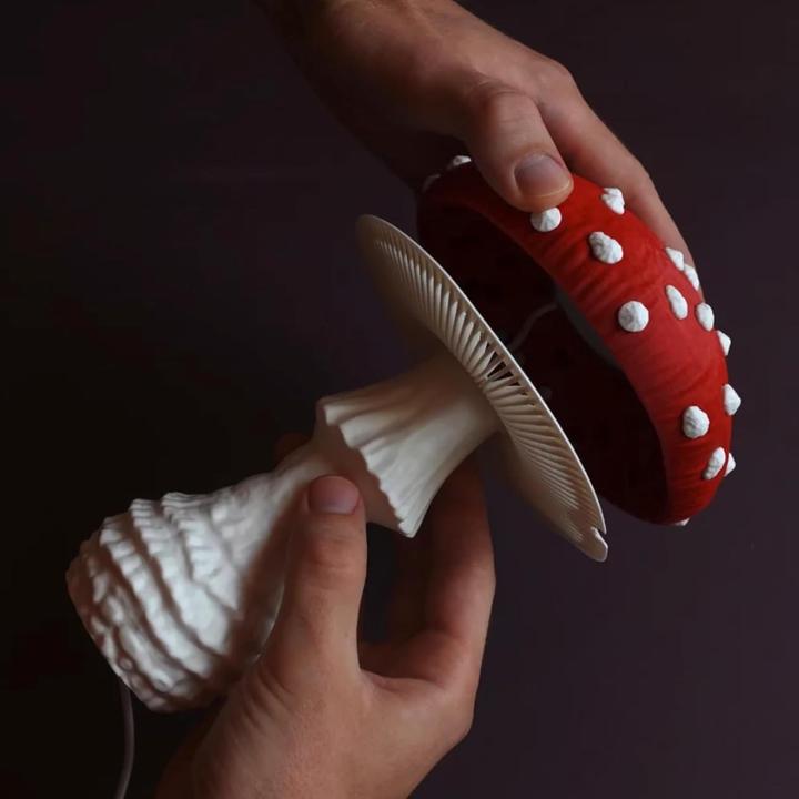 Produktbild Polymaker PolyTerra PLA (PLA, 1.75 mm, 3000 g, Rot)