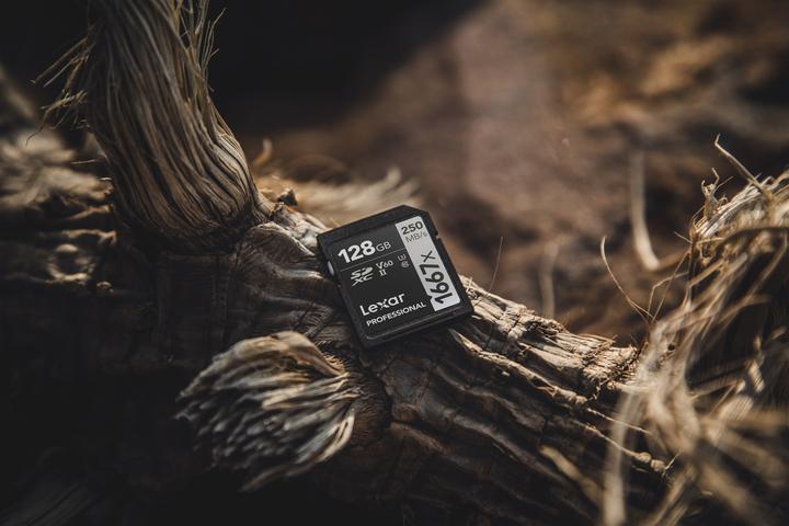 Actual product image Lexar Professional 1667x (128 GB, SDXC, U3, UHS-II)