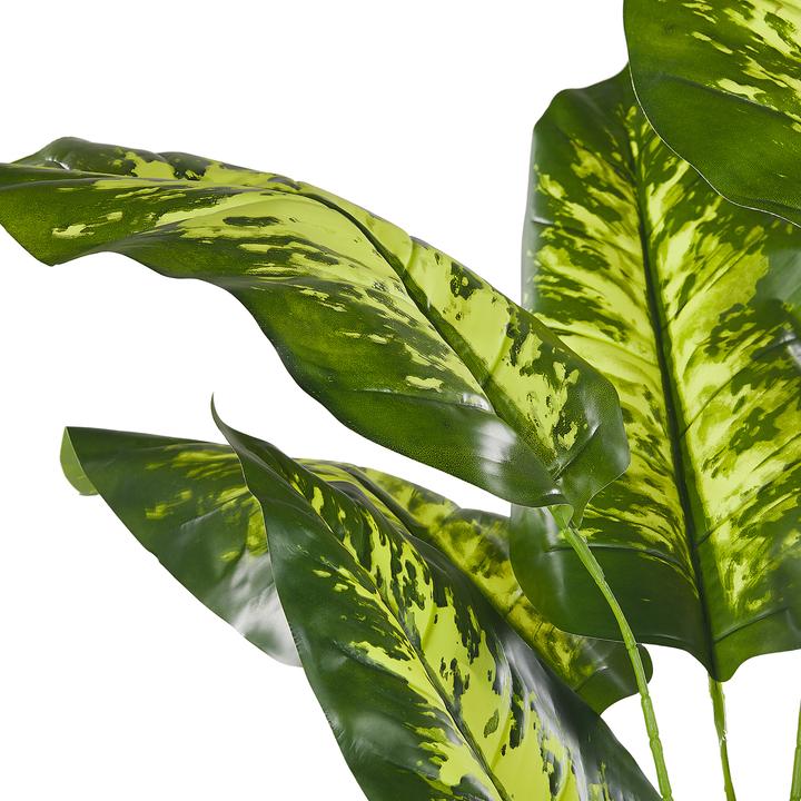 Immagine prodotto Beliani Dieffenbachia (122 cm)