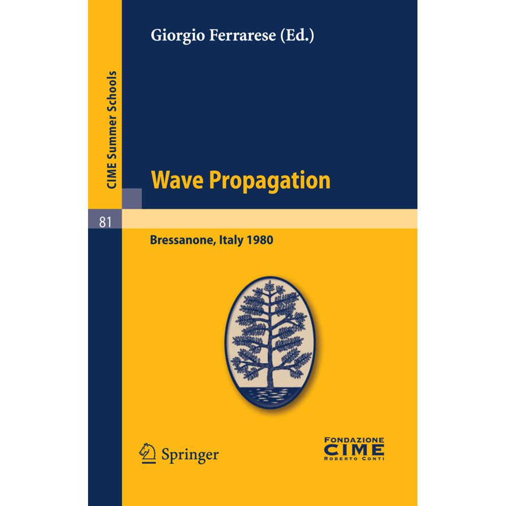 Wave Propagation, Fachbücher von Giorgio Ferrarese