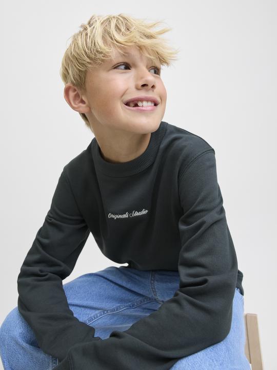 Produktbild Jack & Jones Jornorrebro Emb Sweat Crew Noos Jnr (128)