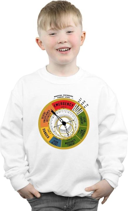 Immagine prodotto Fantastic Beasts Threat Level Felpa Ragazzi (140, 146)