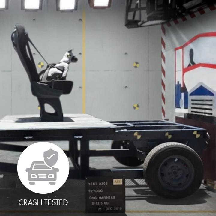 Image du produit EzyDog Harnais pour voiture Drive Dog (M, Chien, Général)