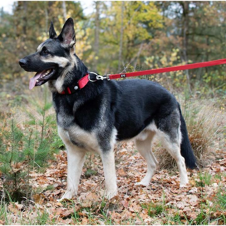 Produktbild Duvoplus Classic (M, Hund, Spazieren)
