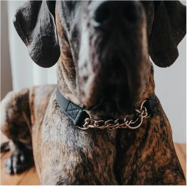 Produktbild Hunter Halsung mit Kette Aalborg (M, Hund)