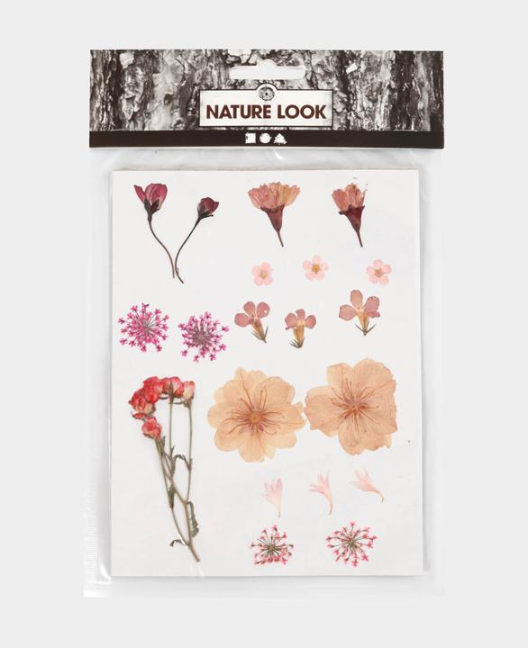 Immagine prodotto Creativ Company Premuto (Fiori secchi)