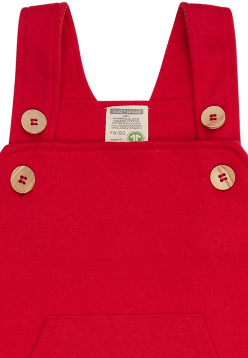 Actual product image loud + proud Dungarees (68)