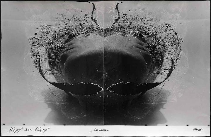 Actual product image Zweite Haut (German, Alfred Weidinger / OÖ LandesKultur, Isolde Perndl / Upper Austrian Provincial Culture, 2024)