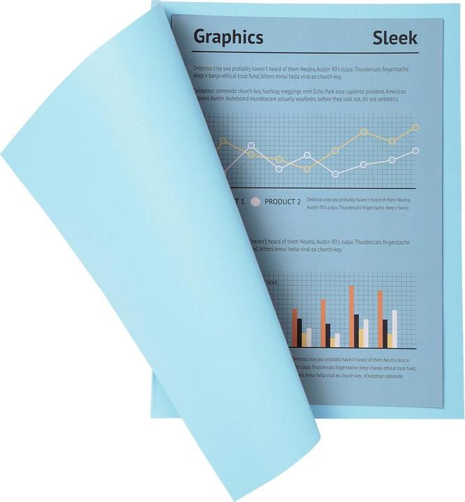 Immagine prodotto Exacompta Scrapbook - Copertine di file (A4, 100 x)