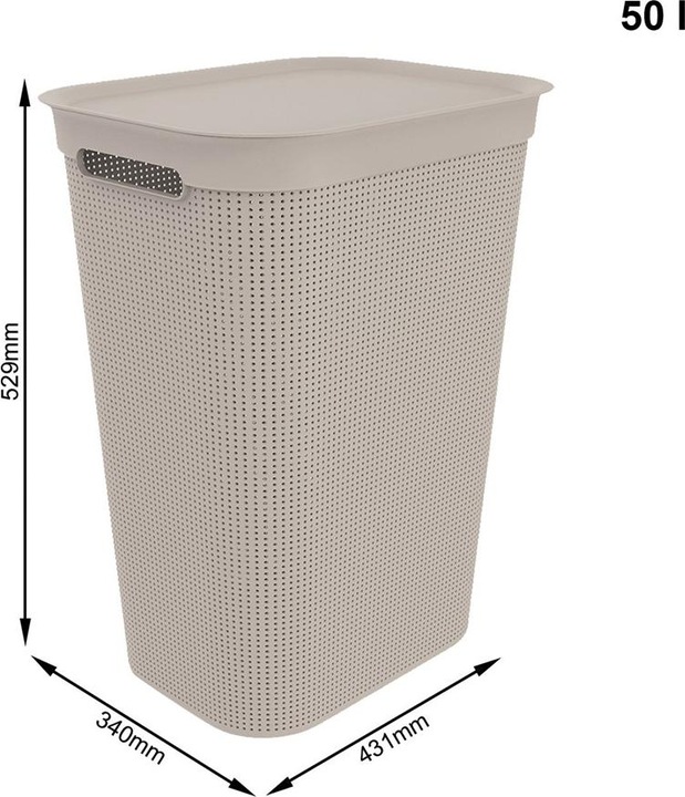Actual product image Rotho Brisen (50 l)