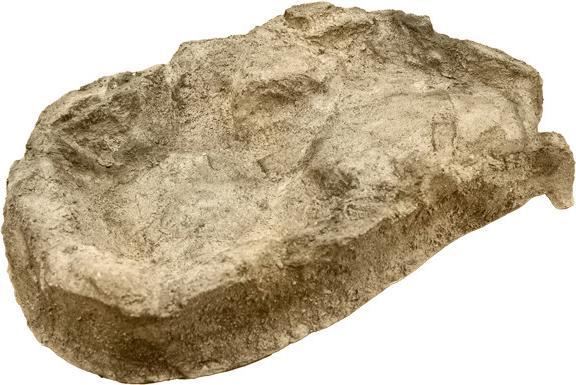 Actual product image Koi-Breeder Watercourse bowl curve left made of GRP