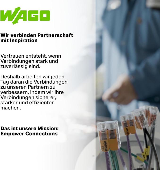 Image du produit Wago Fiche banane