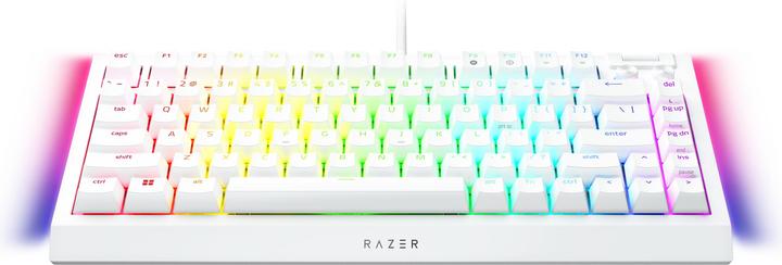 Image du produit Razer BlackWidow V4 75% (US, Filaire)