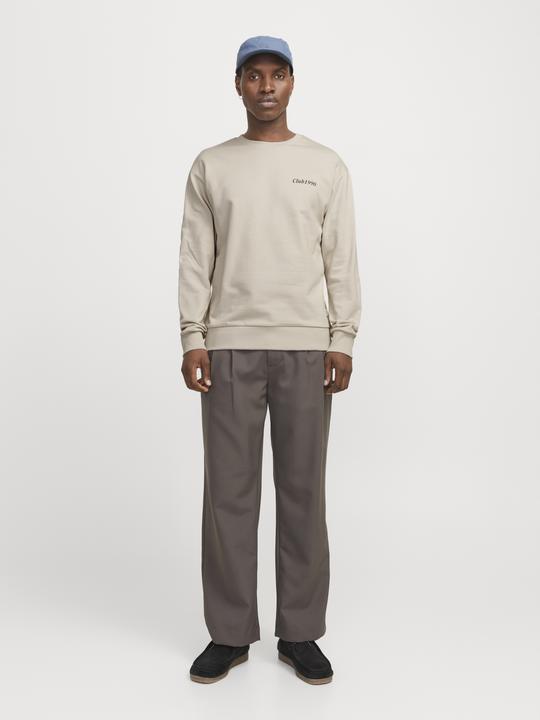 Actual product image Jack & Jones Jjebradley Graphic Sweat Crew Noos (M)