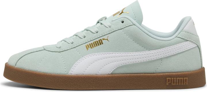 Gomma bianca blu pacifica