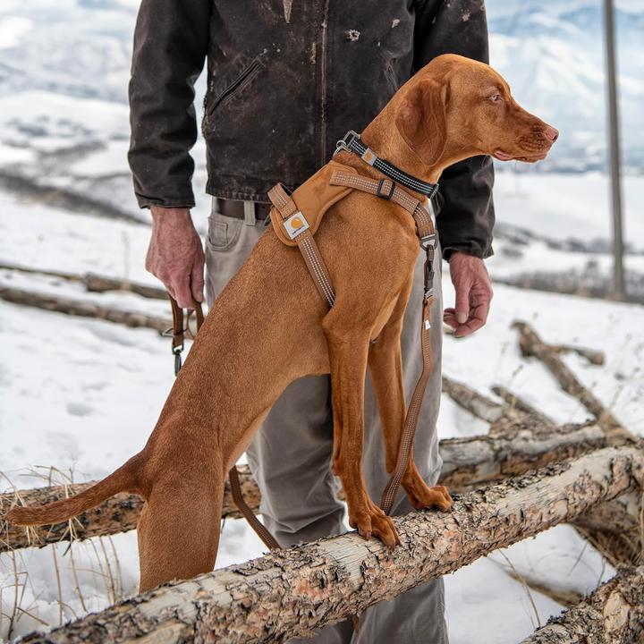Produktbild Carhartt Hundegeschirr (S, Hund, Allgemein)