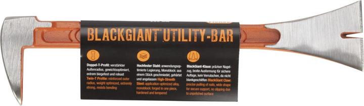 Image du produit Picard Pied à clouer 'BlackGiant' TwinSet (250 mm)